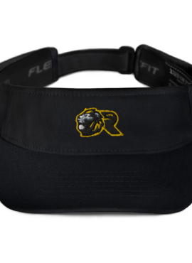 Visor